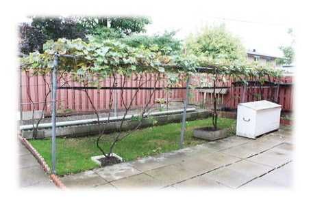 42 Wilton Dr, Brampton, L6W3A1 | Image 3