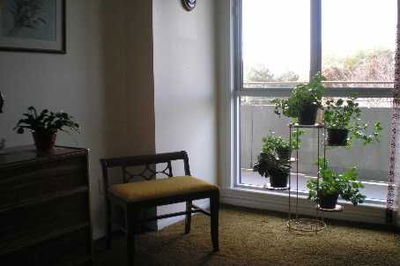 Unit 310 — 1300 Mississauga Valley Blvd, Mississauga - Mississauga Valleys image-0-4