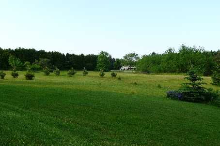 23 Mckibbon Ave, Amaranth, L9W2Z1 | Image 3