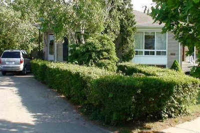 Semi-Detached House sold at 1303 Freeport Drive, Mississauga, Ontario, L5C1S5 - Erindale - MLS: W2137299
