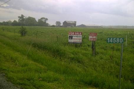 0 Hurontario St, Caledon, L7C2C3 | Image 2