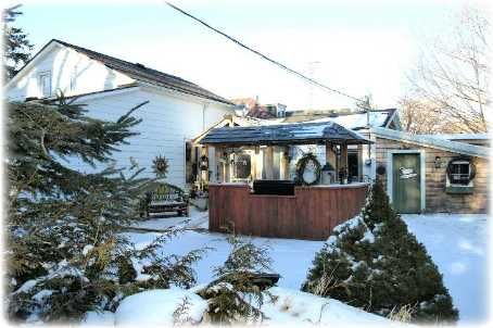 1429 Queen St, Caledon, L7K0E4 | Image 3