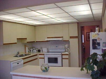 4129 Molly Ave  , Mississauga, L4Z1E3 | Image 3