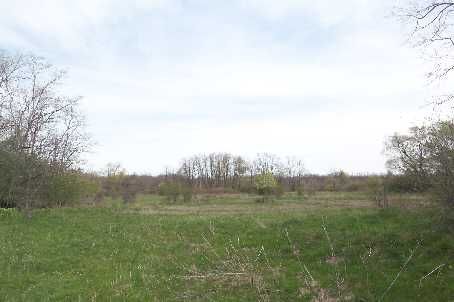 597 Old York Rd, Burlington, L7P4Y6 | Image 2