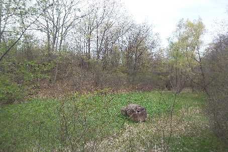 597 Old York Rd, Burlington, L7P4Y6 | Image 3