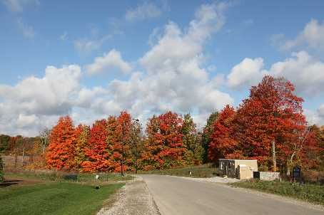 2606 Harvestmoon Lane, Burlington, L7P0N5 | Image 2