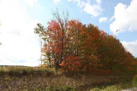 2606 Harvestmoon Lane, Burlington, L7P0N5 | Image 3