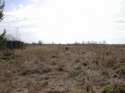 12630 Hurontario St, Caledon, L0N1C0 | Image 2