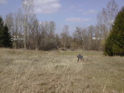 12630 Hurontario St, Caledon, L0N1C0 | Image 3