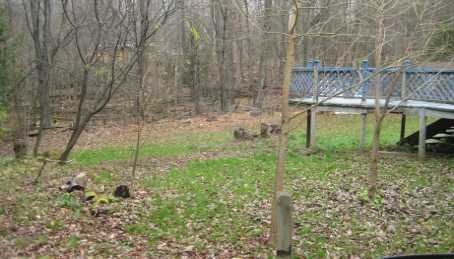 14576 Winston Churchill Blvd, Halton Hills, L0P1N0 | Image 3