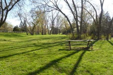 174 Victoria St, Brampton, L6Y0A6 | Image 3