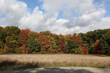 2606 Harvestmoon Lane, Burlington, L7P0N5 | Image 2