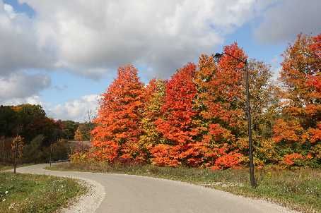 2606 Harvestmoon Lane, Burlington, L7P0N5 | Image 3