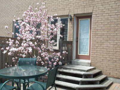 260 Glenashton Dr, Oakville, L6H6H5 | Image 2