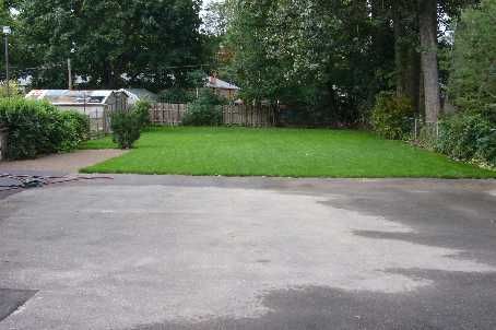 43 Broadview Ave, Mississauga, L5H2S8 | Image 3