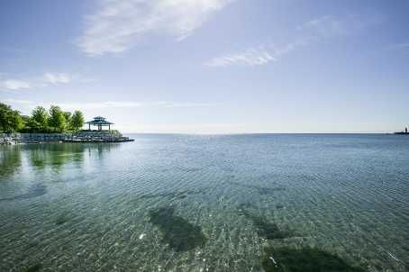 509 - 65 Port St E, Mississauga, L5G4V3 | Image 3