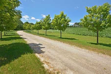 3722 The Grange Sdrd, Caledon, L7C0C3 | Image 2