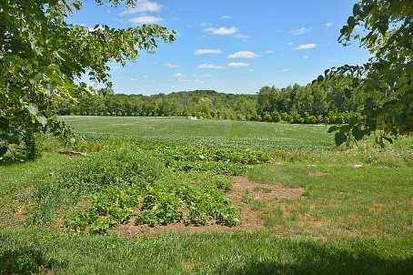 3722 The Grange Sdrd, Caledon, L7C0C3 | Image 3