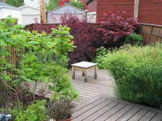 413 Indian Grve, Toronto, M6P2H7 | Image 2