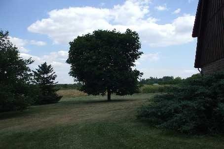 8029 Hornby Rd, Halton Hills, L0P 1E0 | Image 3