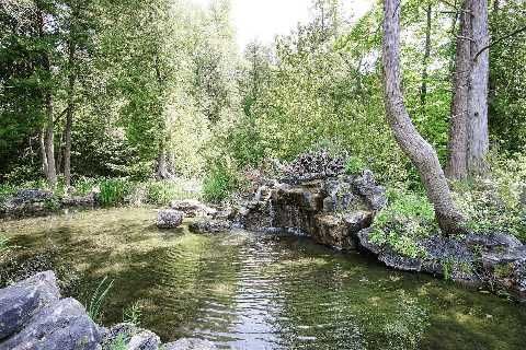 5165 Pineridge Dr, Milton, L7N2L7 | Image 3