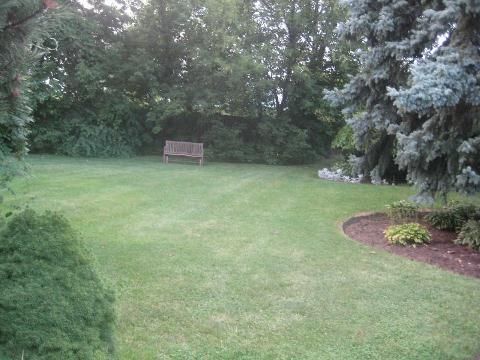 Image 13