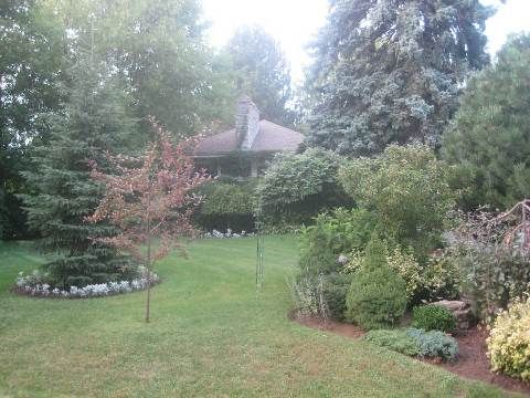 Image 14