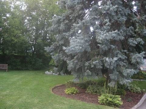 Image 15