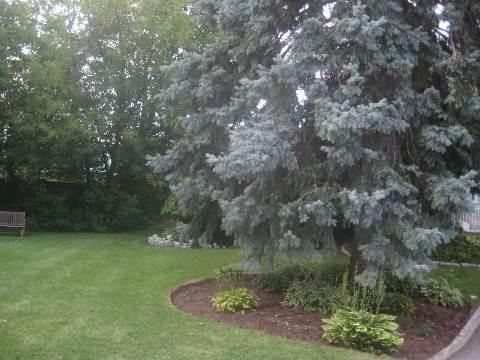 Image 14