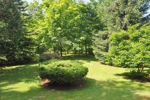 6685 Mcniven Rd, Burlington, L0P1G0 | Image 2