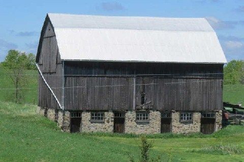 17479 The Gore Rd, Caledon, L7E0X8 | Image 3