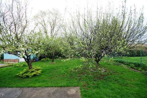 29 Ellesboro Dr, Mississauga, L5N1C3 | Image 3