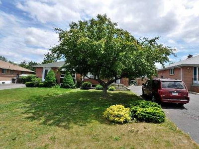 Semi-Detached House sold at 71 Addington Crescent, Brampton, Ontario, L6T2R4 - Avondale - MLS: W2947223