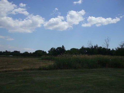 8029 Hornby Rd, Halton Hills, L0P1E0 | Image 2