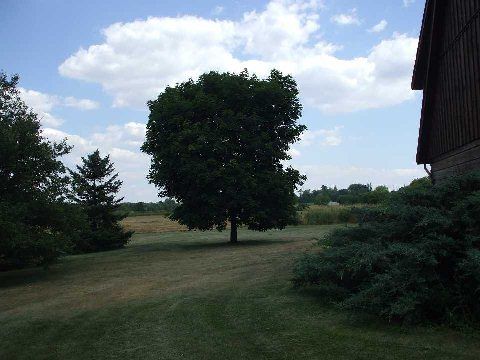 8029 Hornby Rd, Halton Hills, L0P1E0 | Image 3