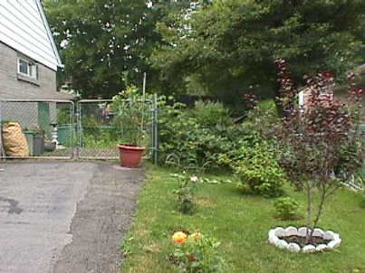 76 Eldomar Ave, Brampton, L6W1R3 | Image 2