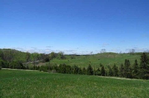 17479 The Gore Rd, Caledon, L7E0X8 | Image 2