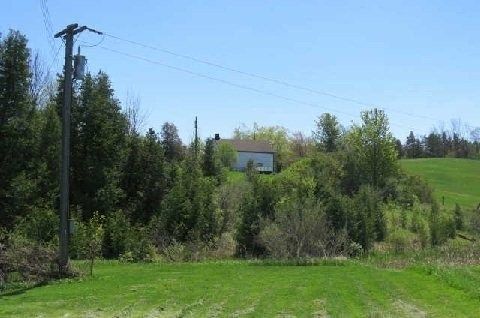 17479 The Gore Rd, Caledon, L7E0X8 | Image 3