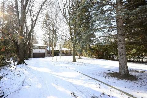 96 Elmcrest Rd, Toronto, M9C3R9 | Image 2