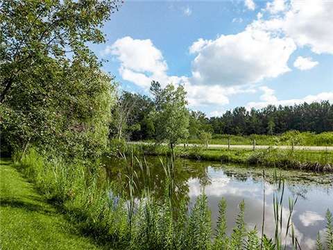 18599 Horseshoe Hill Rd, Caledon, L7K2B9 | Image 3