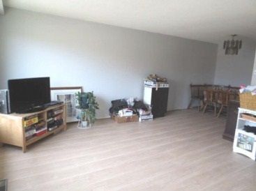 115 Mill St N, Brampton, L6X2N8 | Image 3