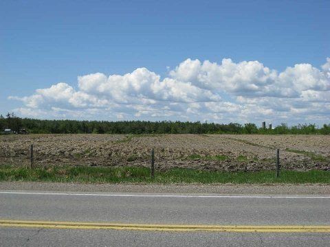 0 Airport Rd, Caledon, P0C1H0 | Image 3