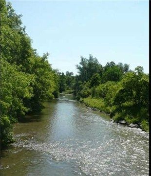 148 Rowntree Mill Rd, Toronto - Humber Summit image-0-2