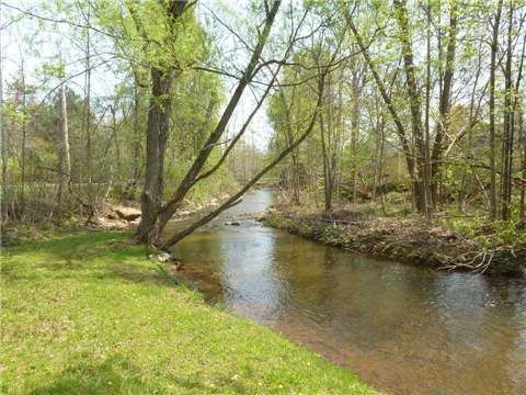 8 Ann St, Halton Hills, L7G2V2 | Image 2