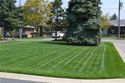 37 Carlyle Cres, Brampton, L6W2Y9 | Image 3