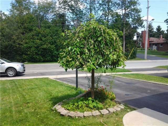 222 Churchill Rd N, Halton Hills, L7J2J2 | Image 2