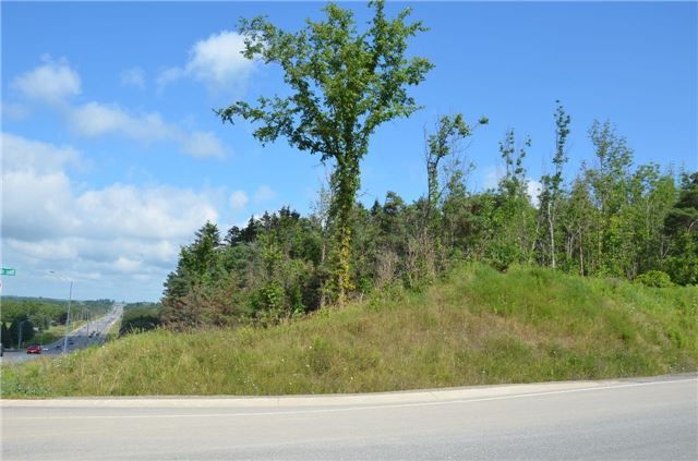 20489 Hurontario St, Caledon, L7K1X6 | Image 3