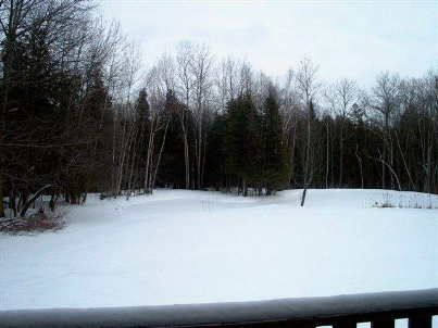 24 Cedar Dr, Caledon, L0N1C0 | Image 2