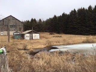 4037 Charleston Sdrd, Caledon, L7K0S6 | Image 2