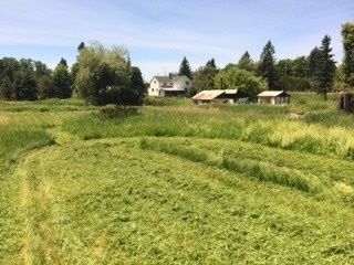 4037 Charleston Sdrd, Caledon, L7K0S6 | Image 3